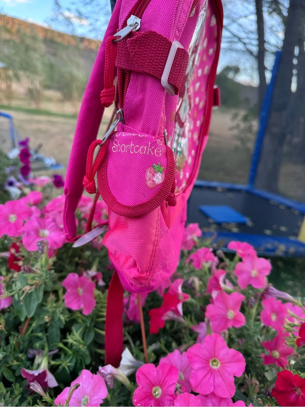 Vintage 2006 Strawberry Shortcake Pink Backpack Y2K Custard Kids Bag